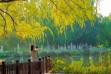 91在线播放麻豆-91在线播放麻豆，又一项引发社会关注的网络现象
