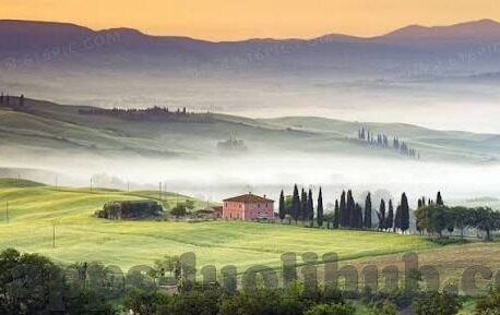 97成人左线视频观看-97成人左线视频观看，网络文化新趋势的深度观察