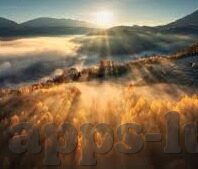 av麻豆剧场在线观看-多媒体平台广播电视的未来轮廓，推动AV麻豆剧场在线观看的多元化与互动性