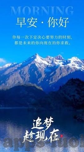 大象传媒app网页地址-探索大象传媒app，数字时代的文化传播新平台