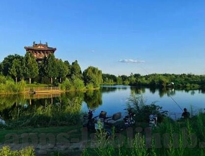 麻豆91网页-揭露网络迷雾，对麻豆91网页现象的客观分析