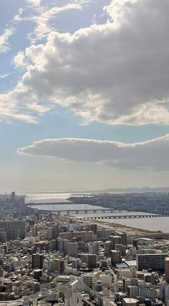 麻豆app电脑版-麻豆应用，解锁电脑端娱乐新体验的秘密