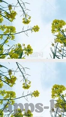神秘影院麻豆视频-神秘影院: 窥探视频内容的另一面