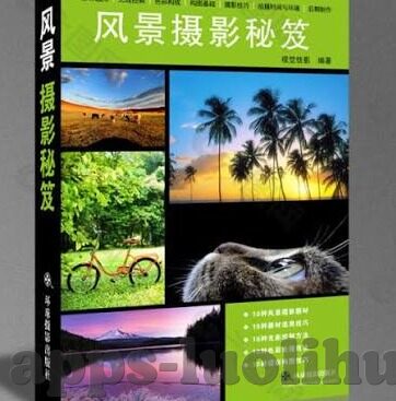 糖心app的网址-探究社交新境界，糖心app的独特魅力与数字时代交流的变革